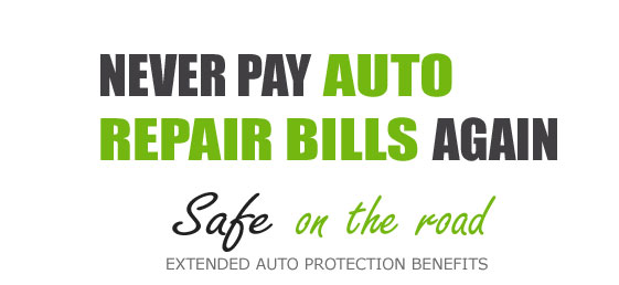 auto armor paint protection warranty